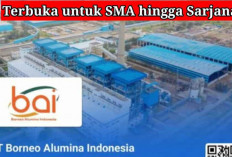 Peluang SMA hingga Sarjana, PT Borneo Alumina Indonesia Buka Lowongan Kerja, Daftar Sekarang!