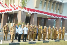 Sah! CPNS Prabumulih 100 Kuota, PPPK masih Menunggu