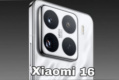 Xiaomi 16, Flagship Ringkas dengan Layar Real RGB OLED dan Baterai Jumbo