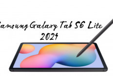 Samsung Galaxy Tab S6 Lite 2024, Tablet Terbaru Dengan Penyimpana. Besar dan Kapasitas Baterai 7040 Watt