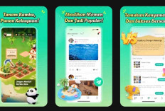 Cara Kerja Aplikasi Panjoy: Game Bertani yang Diklaim Bisa Hasilkan Saldo DANA
