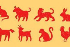 Ramalan Shio Ayam, Shio Kambing, Shio Kuda, Shio Macan, Shio Naga Hari Ini 