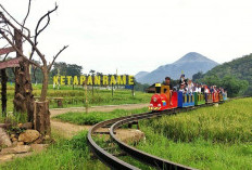 BRI Perluas Akselerasi Ekonomi Desa, Program Desa BRILiaN Sentuh 5.245 Desa