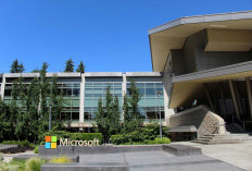 Bos Microsoft Prediksi AI Bakal Ambil Alih Mayoritas Tugas Kantoran