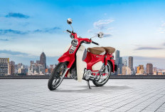 Honda Super Cub C125 vs Honda CT125, Pilih Retro Elegan atau Adventure Klasik