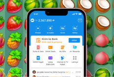 Cuan Tanpa Capek! Dapat Saldo DANA Gratis dari Game Fruit Packing