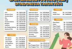 UMP 2025: Sumsel Masuk 10 Besar Nasional, Siap Jadi Pusat Ekonomi Baru