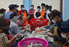 Walikota Apresiasi Kebersihan Dapur MBG di Jalan Flores Kecamatan Prabumulih Timur 
