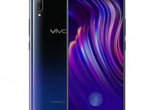 Smartphone Vivo V11 Pro, HP Spek Gaming Dengan Desain Stylish, Intip Harganya