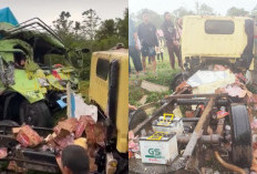 Tabrakan Fuso VS Truk Box di Jalan Lintas Prabumulih Palembang, 1 Warga Prabumulih Meninggal di TKP