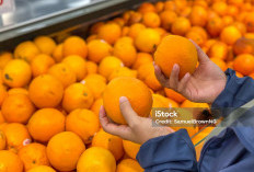 Gak Cuma Segar, Jeruk Sunkist Ternyata Ampuh Cegah Penyakit Serius