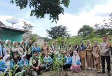 Dari Pekarangan Jadi Sumber Pangan, KWT Merpati Muara Dua Prabumulih Panen Cuan