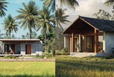 Rumah Minimalis Desa Modern, Perpaduan Tembok dan Kayu yang Bikin Adem
