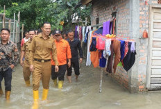 Kemendagri Ajak Pemda Antisipasi Banjir dan Maksimalkan Hasil Panen