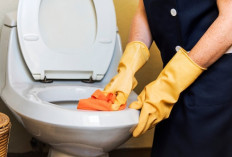 3 Cara Membersihkan Toilet Pakai Sitrun, Kerak Membandel Langsung Luruh