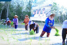 Kementan Genjot Cetak Sawah Baru di Sumsel, 13 Ribu Hektare Ditarget Selesai Agustus