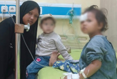 Balita di Talang Sako Prabumulih Jalani Operasi Akibat Digigit Anjing: Desak Penertiban Anjing Berkeliaran