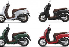 Eksplorasi Warna Terbaru All New Honda Scoopy: Varian Prestige dan Stylish Makin Kece dan Elegan