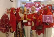 PPUMI Ogan Ilir Berpartisipasi Rayakan HUT RI Bersama PPUMI se Sumsel
