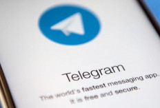 PBB Ungkap Sindikat Kriminal Asia Tenggara Gunakan Telegram untuk Kejahatan