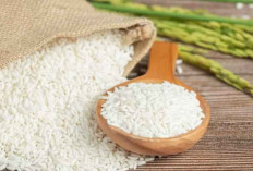 8 Rekomendasi Makanan Pengganti Nasi, Cocok untuk Diet