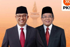 Pilkada Jakarta, PKS Usung Anies - Sohibul 