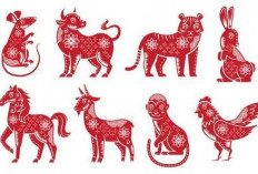 Ramalan Shio Monyet, Shio Macan, Shio Ular, Shio Naga, Shio Kuda Hari Ini