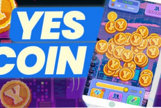 Maximalkan Keuntungan Anda dengan Yes Coin, Sistem Referral dan Bonus Harian