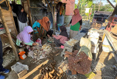 Singkong Lokal Naik Kelas, Mocaf Jadi Sumber Penghasilan Baru Warga Desa Simpang Bayat Musi Banyuasin 