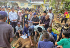Peringati Idul Adha 1446 H, RSUD Prabumulih Kurbankan 15 Hewan: Wali Kota Apresiasi Semangat Kebersamaan