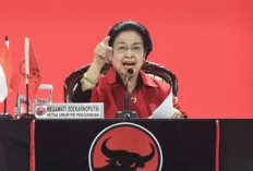 Megawati Soekarnoputri Mundur dari Pensiun: Perjuangan Melawan Upaya Pengambilalihan Partai