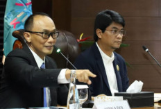 NIP dan SK PPPK Paruh Waktu Mulai Terbit di Sejumlah Daerah, Pencairan Gaji Bertahap