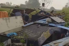 Masa Peralihan Musim Kemarau ke Musim Hujan, BPBD Ogan Ilir Imbau Warga Waspadai Angin Kencang