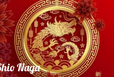 Shio Naga Hari Ini: Menyelaraskan Kebutuhan Pribadi dengan Dukungan untuk Orang Lain