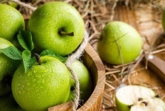 Tak Hanya Manis dan Menyegarkan, Ini 5 Manfaat Konsumsi Apel Hijau