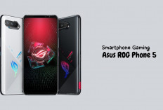 Smartphone Asus ROG Phone 5 Dukung Aktivitas Bermain Game Kamu Tahan Lama, Ini Spesifikasinya