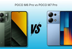 Perbandingan Kamera Poco M7 Pro dan Poco M6 Pro, Mana yang lebih Cocok untuk Pecinta Fotografi?