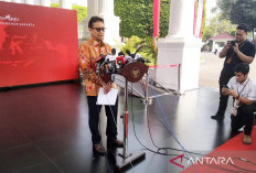 Jakarta Barat Laporkan Tiga Kasus Terduga Cacar Monyet, Hasil Laboratorium Ditunggu