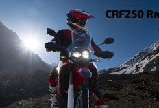 Motor Adventure Untuk Segala Medan, Inilah Kelebihan dan Kekurangan Honda CRF250 Rally