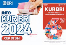 KUR BRI, Jadi 