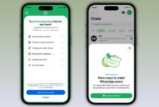 WhatsApp Plus Hadir di iPhone, Bisa Ubah Tema hingga Sematkan 20 Chat