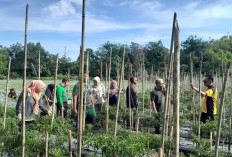 Dinas Perikanan Akan Buat Kolam Bioplok di Belakang Pemkot