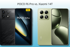 Adu Flagship Terjangkau! Ini Perbandingan POCO F6 Pro vs Xiaomi 14T, Siapa Lebih Unggul?