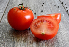 Makanan Sehat yang Cocok di Konsumsi untuk Usia Kepala Empat, Salah Satunya Tomat