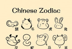 Ramalan Shio Kelinci, Shio Naga, Shio Ayam, Shio Tikus, Shio Kuda