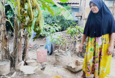 Berawal dari Hobi, Usna Warga Anak Petai Prabumulih Kini Punya Peternakan Sendiri