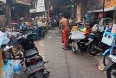 Ternyata Bisa Tinggal Gratis di Kampung Starling Jakarta, tapi Ada Syaratnya!