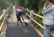 Pemerintah Desa Talang Batu Rehab Jembatan Titian Sepanjang 861 Meter: Akses Vital Perekonomian Warga