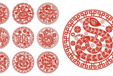 Ramalan Shio Naga, Shio Kuda, Shio Monyet, Shio Macan, Shio Ular Hari Ini