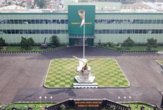 TNI Resmikan 6 Kodam Baru, Wilayah Kodam II/Sriwijaya Kini Hanya Sumsel dan Babel